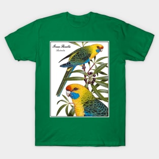 AUSTRALIA : Green Rosella Travel Advertising Print T-Shirt